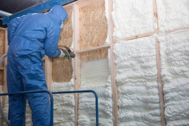 Types of Insulation We Offer in Willits, CA